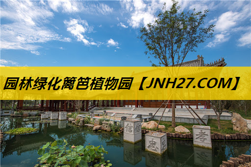 园林绿化篱笆植物园