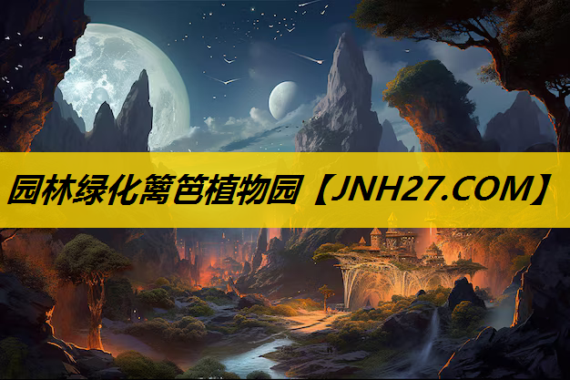 园林绿化篱笆植物园