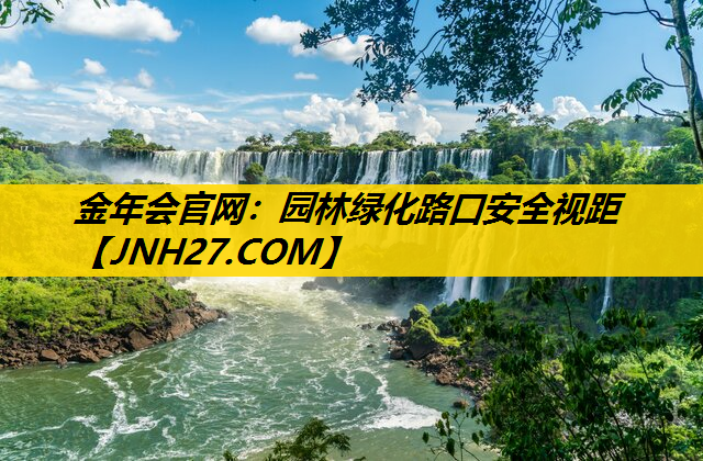 园林绿化路口安全视距
