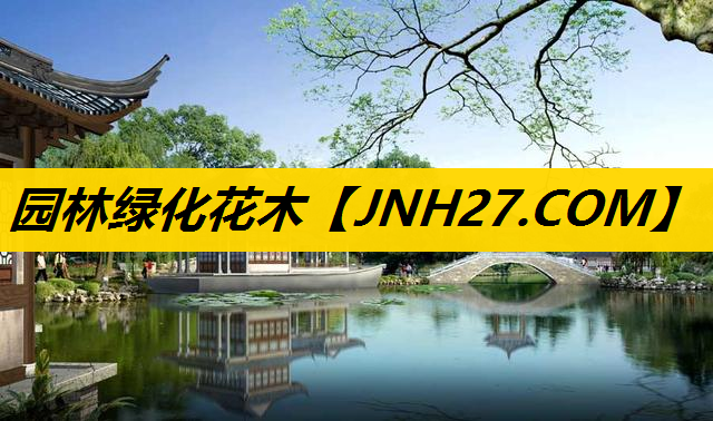 园林绿化花木